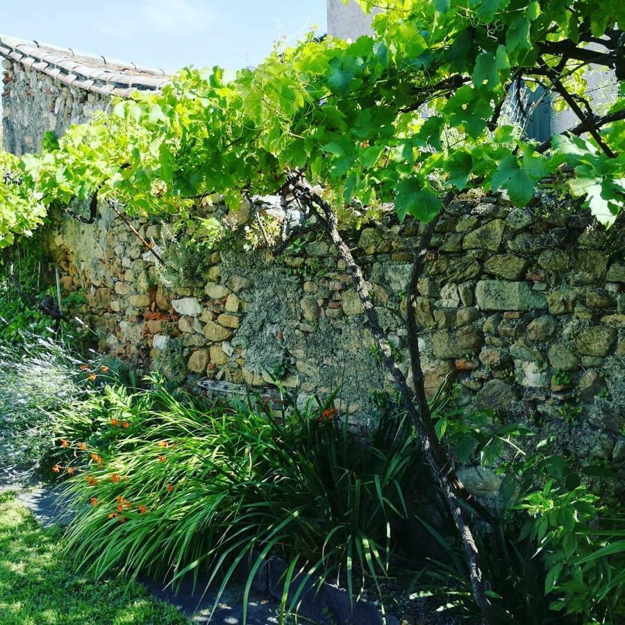 Gite Maison De L'Abbe Sorèze Kültér fotó
