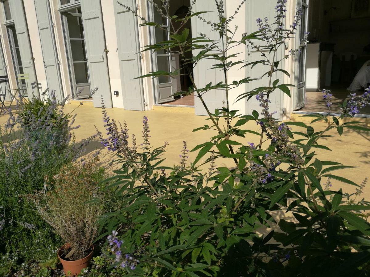 Gite Maison De L'Abbe Sorèze Kültér fotó